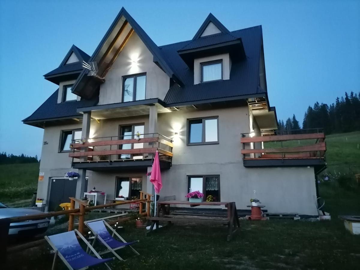 Miejscowka U Lufow Apartment *