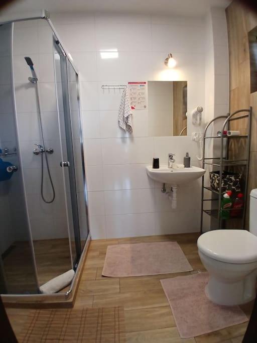 Apartment Miejscowka U Lufow