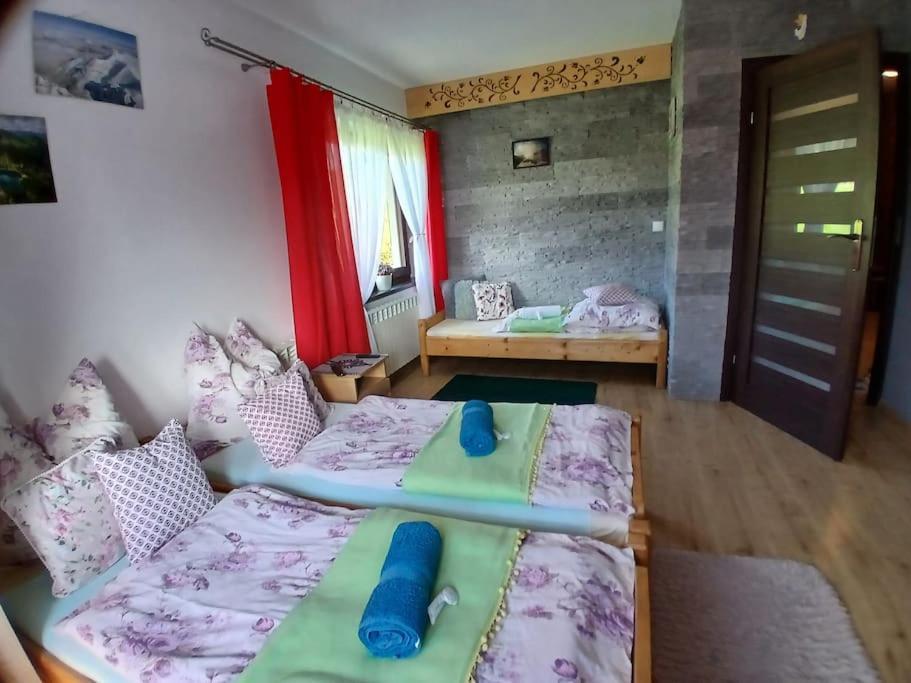 Apartment Miejscowka U Lufow Zakopane