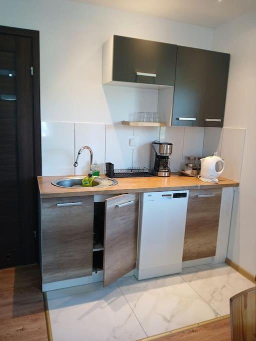 Apartment Miejscowka U Lufow Zakopane